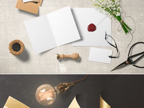 高端企业形象品牌设计VI样机合集之三 商务VI样机与企业形象策划